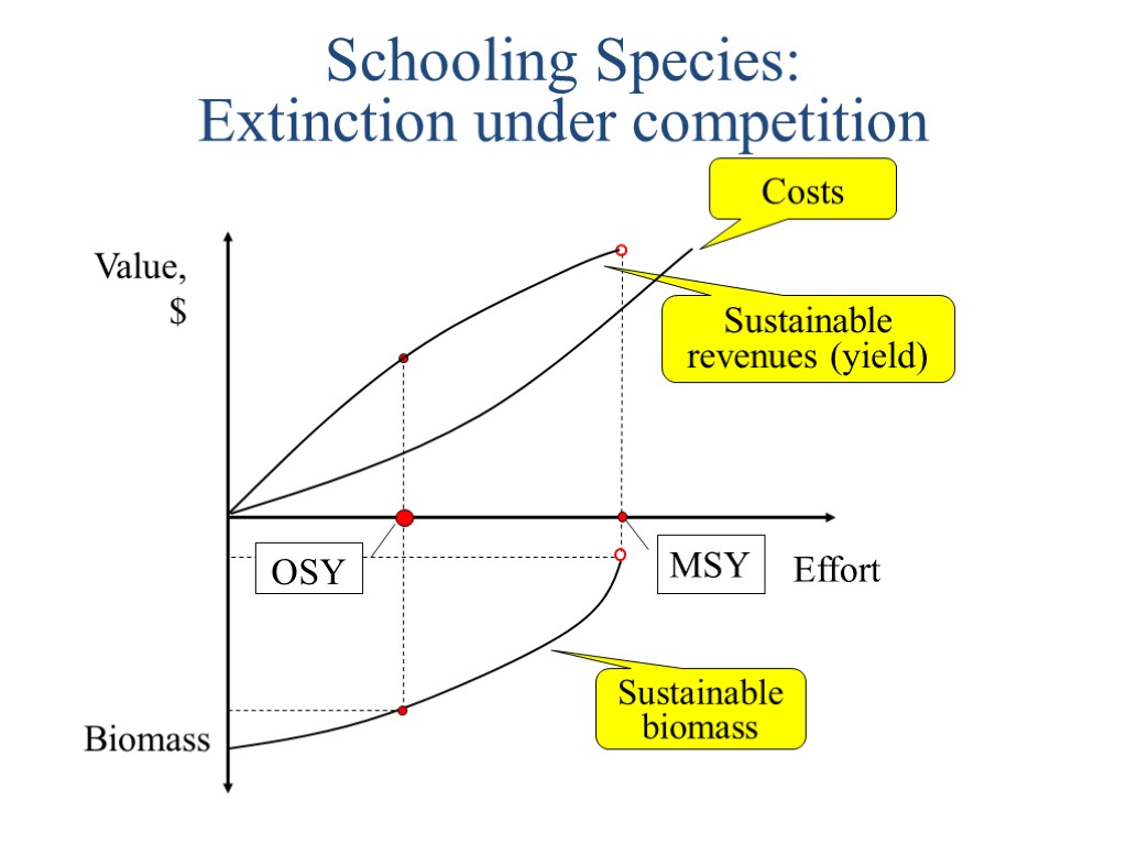 Schooling Species: Extinction under competition Value, $ Effort Biomass Costs Sustainable revenues (yield) Sustainable